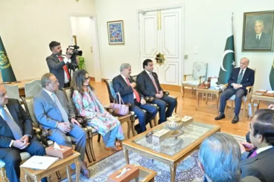 PPP Delegation Meets Prime Minister Shehbaz Sharif