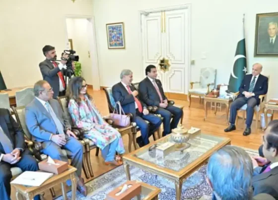 PPP Delegation Meets Prime Minister Shehbaz Sharif
